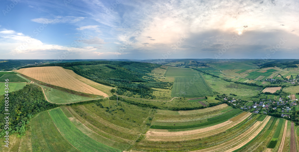 Fototapeta premium Aerial landscape view of green and yellow cultivated agricultural fields with growing crops on bright summer day