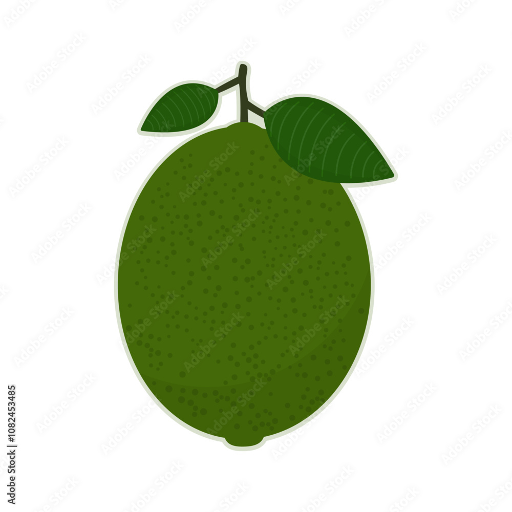 Cartoon green lime. Vector illustration. Cartoon green lime. Vector illustration.