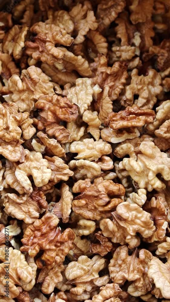 Gathering raw hulled walnuts. Vertical video. Close-up. Gathering raw hulled walnuts. Vertical video. Close-up.