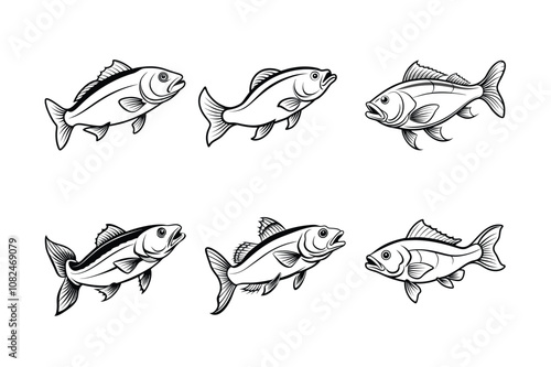 cod fish design, labeled line art vector silhouette illustration.