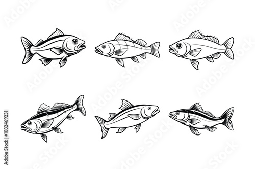 cod fish design, labeled line art vector silhouette illustration.