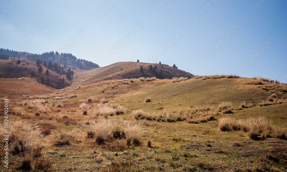 Autumnal grassland on gently rolling hills with sparse trees, leading to a hazy, forested mountain backdrop under a soft blue sky. Autumnal grassland on gently rolling hills with sparse trees, leading to a hazy, forested mountain backdrop under a soft blue sky.