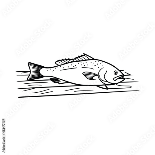 cod fish design, labeled line and fill art vector silhouette illustration.