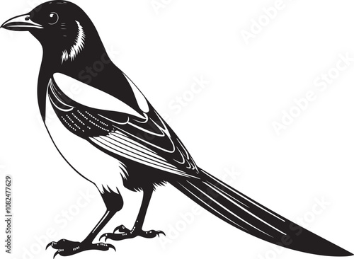 hispaniolan trogon bird vector illustration