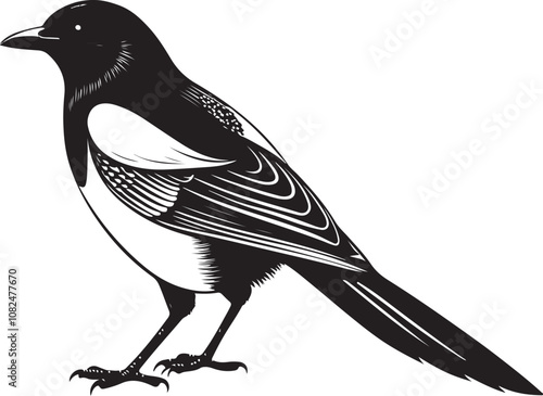 hispaniolan trogon bird vector illustration