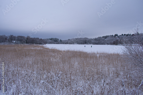 Snow covered lake turned into skiing trail Norway photo