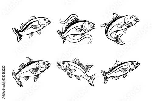 mackerel fish vector design, labeled line art silhouette illustration.