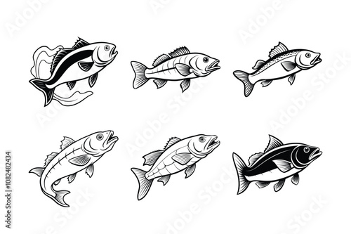 mackerel fish vector design, labeled line art silhouette illustration.