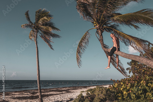 Man climbing a palm tree on the beach in Mexico. photo