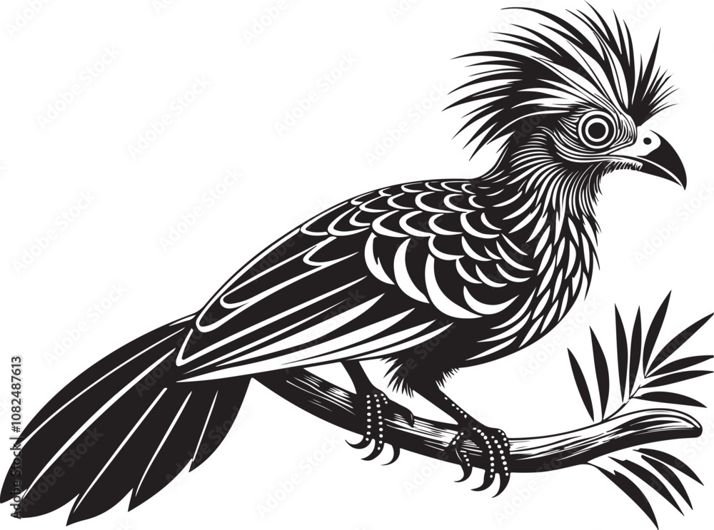 Fototapeta premium hoatzin vector bird illustration design transparent background