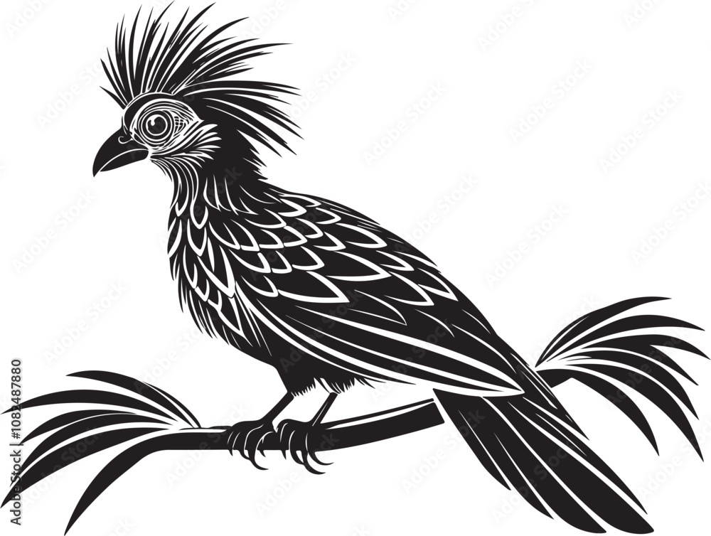 Naklejka premium hoatzin vector bird illustration design transparent background