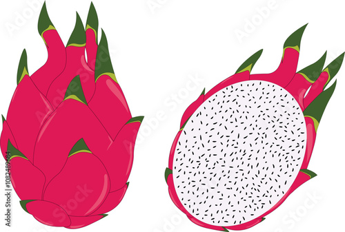 Fresh and healthy red dragon fruit whole and half isolated on white background, Perfect for design elements, summer tropical fruits, Vector eps 10.