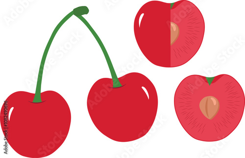 Isolated red cherries on white background. Two sweet cherry fruits on one stem, Red cherry illustration vector file, half cherry, one quarter cherry