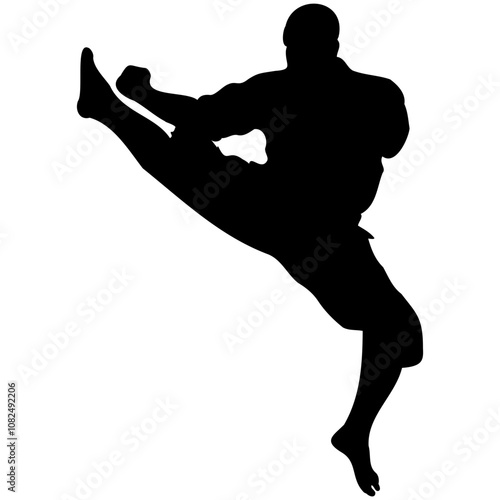 A set of silhouettes of a karate in different poses. Karate fighters silhouette.