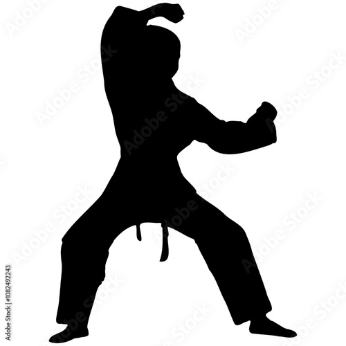 A set of silhouettes of a karate in different poses. Karate fighters silhouette.