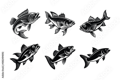 mackerel fish vector design, labeled line art silhouette illustration.