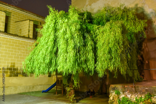 tree in a square in the old city of Tarragona at night photo