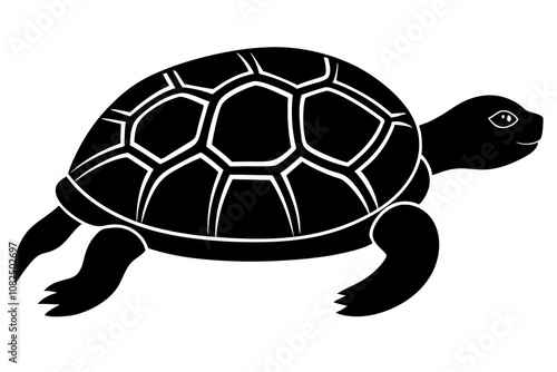 Turtle Tortoise Silhouette Vector Illustration Nature Art