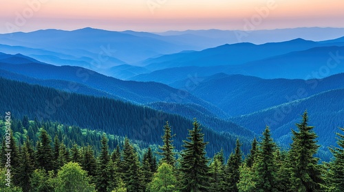 A panoramic view of a mountain range with a blue sky and a soft pink glow in the distance. The foreground is covered in a forest of pine trees.