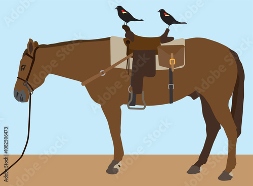 Birds Ready to Ride