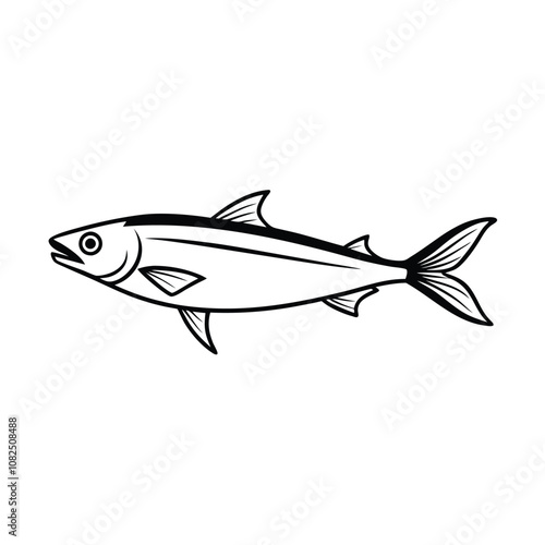 sardine fish design, labeled line art vector silhouette illustration.