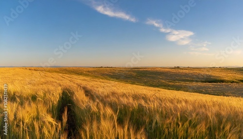 Wallpaper Mural Golden Fields of Wheat Swaying Gently in the Wind, Stretched Across a Vast Plain Under a Brilliant Blue Sky, With the Warm Sun Casting a Soft Glow Over the Horizon Torontodigital.ca