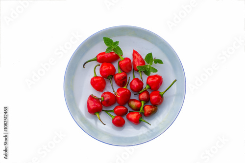 Dalle Khursani, Red Chilli and mint in white plate