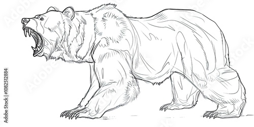 A sketch of a roaring grizzly bear, isolated on a white background