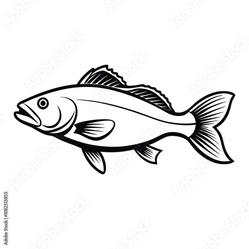 sea bass fish design, labeled line art vector silhouette illustration.