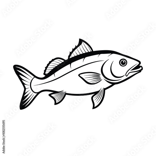 sea bass fish design, labeled line art vector silhouette illustration.