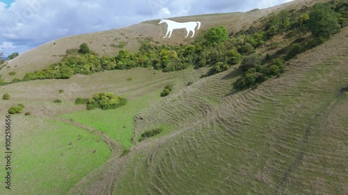 Westbury, Wiltshire, UK, September 08, 2024; Aerial fly up reveal clip of the chalk landmark Westbury White Horse, near Westbury, Wiltshire, England, UK photo