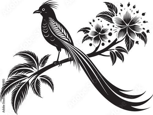 quetzal bird vector illustration transparent background
