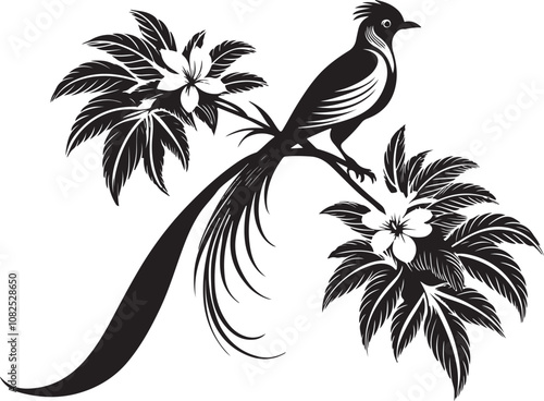 quetzal bird vector illustration transparent background