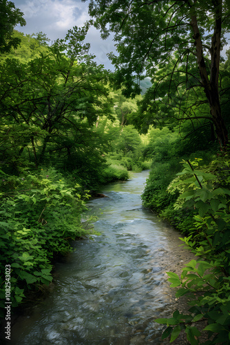 Serene Snapshot of a Picturesque Narrow River Meandering through an Unspoiled Green Forest