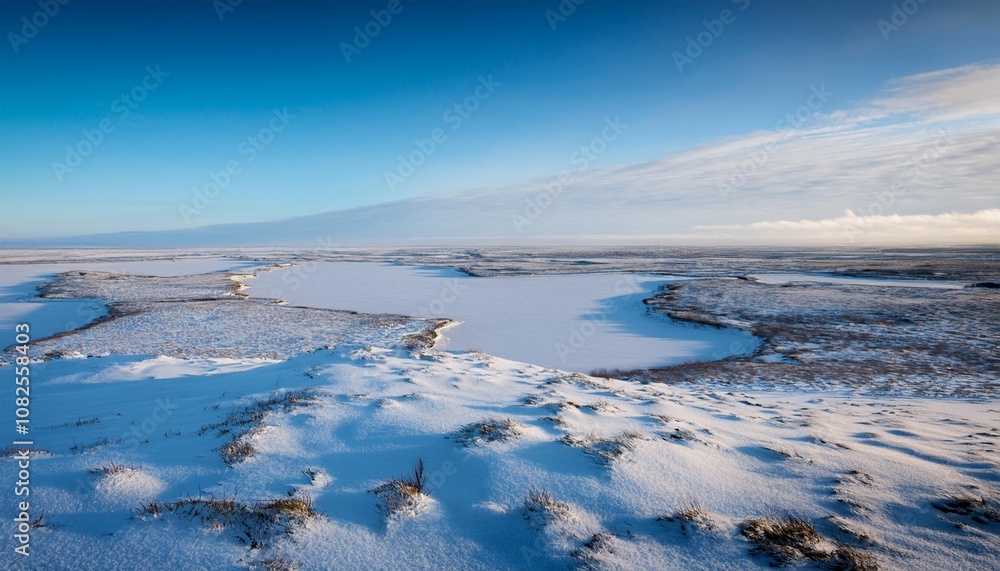 Snowy Tundra Landscape Stretching Across a Flat Horizon, With Patches of Icy Blue Water and Frozen Marshlands, All Under a Pale Winter Sky Snowy Tundra Landscape Stretching Across a Flat Horizon, With Patches of Icy Blue Water and Frozen Marshlands, All Under a Pale Winter Sky
