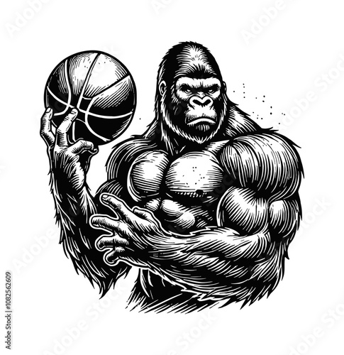 gorilla basketball engraving black and white outline photo