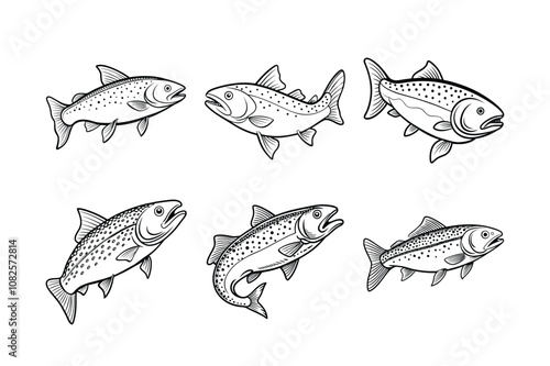 trout fish design, labeled line art vector silhouette illustration.