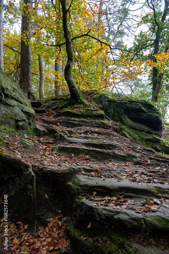 Scenic diversity of Mullerthal, Luxembourg's Little Switzerland, hiking routes, rock formations, moss-covered forests, tourist destination in Europe photo