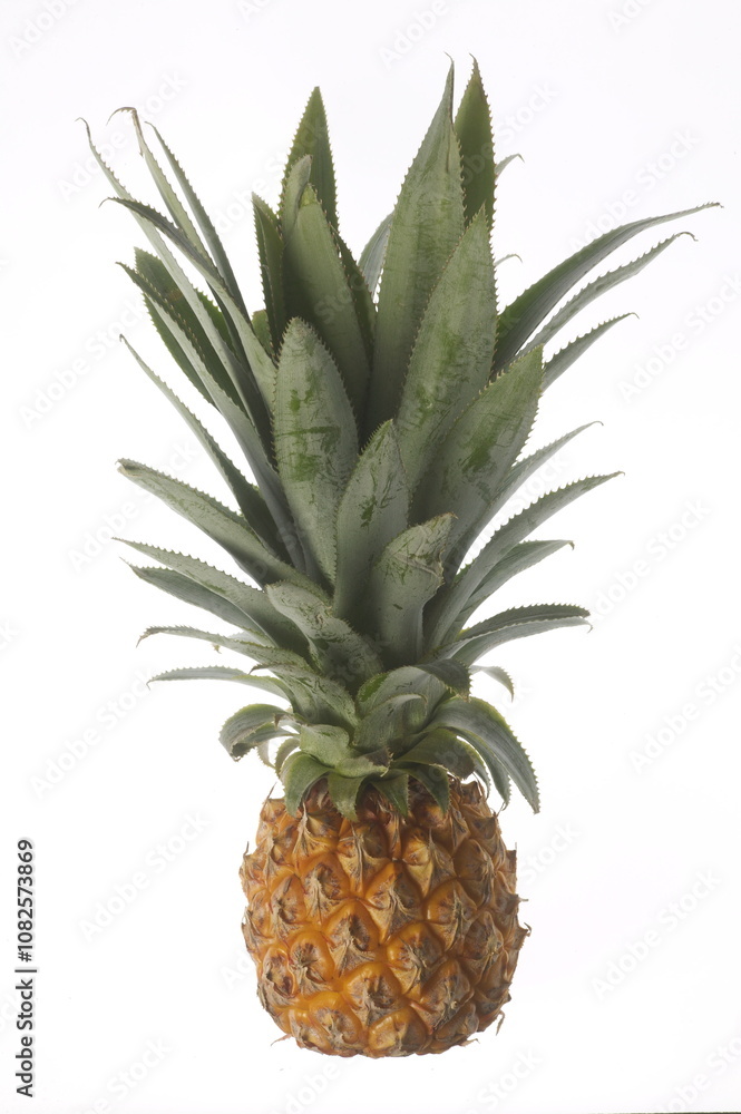 Ananas victoria - Mini fruit - La Réunion Ananas victoria - Mini fruit - La Réunion