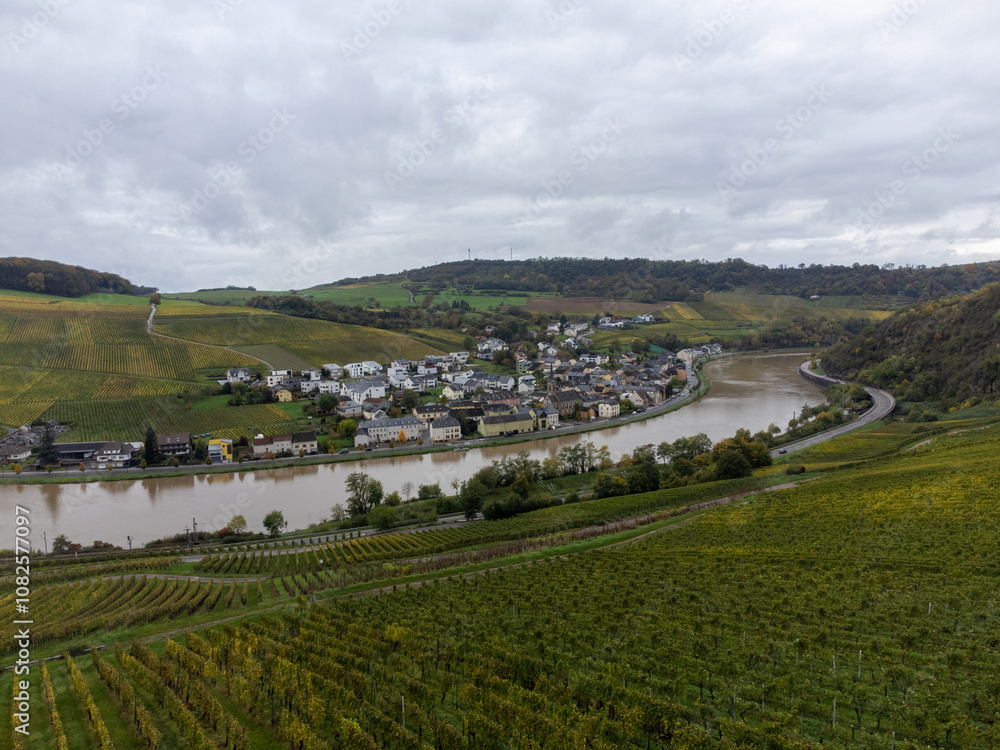 Obraz premium Aerial view of terraced vineyards around Nittel, Rhineland-Palatinate, Germany and views across Moselle River on vineyard hills of Machtum, Luxembourg