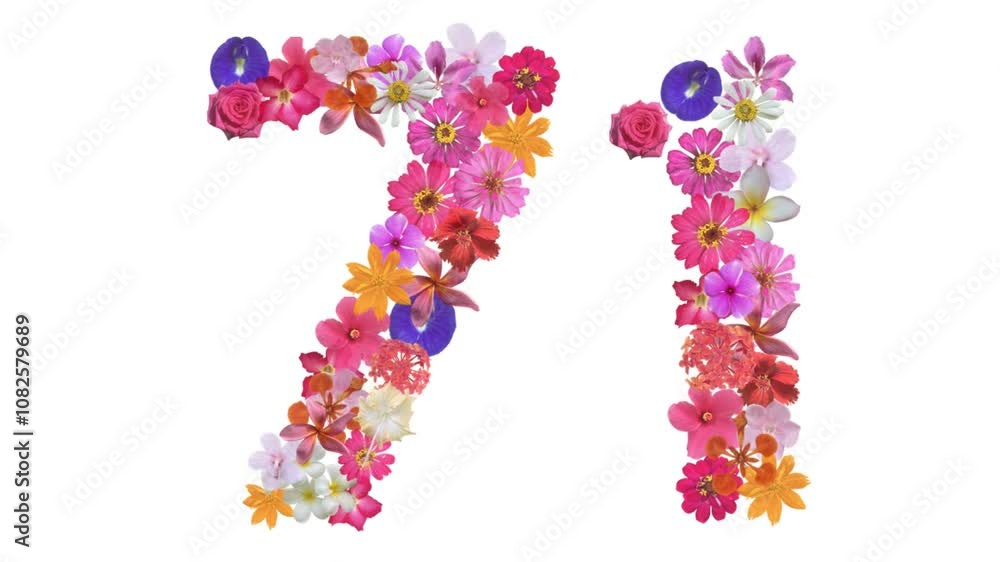 71, Video of numbers formed from growing flowers, suitable for birthday, anniversary and commemoration templates. 71, Video of numbers formed from growing flowers, suitable for birthday, anniversary and commemoration templates.