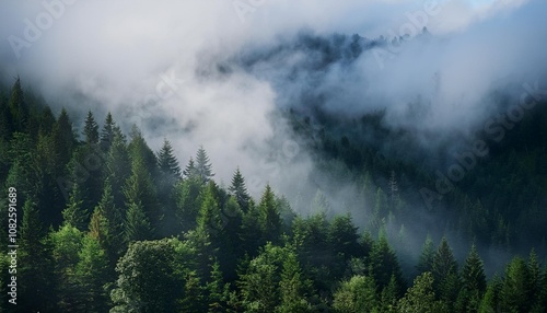 fog in the mountains