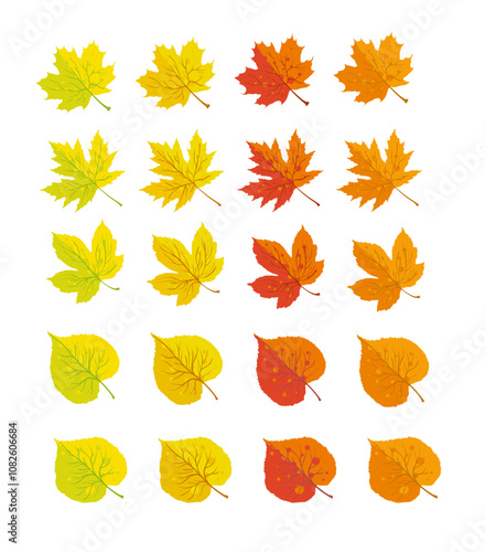 set of autumn the leaves of maple and orchard - vector-breaking an illustration