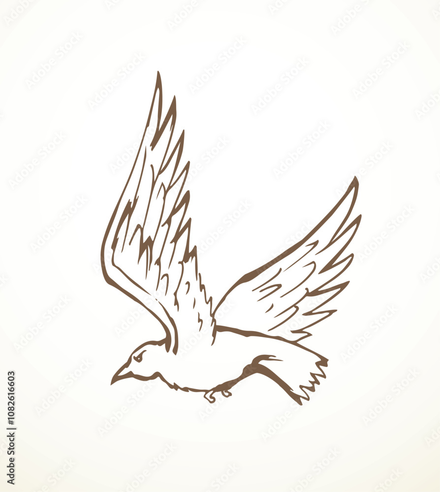Fototapeta premium Vector drawing. Big flying bird