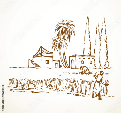 Vector drawing. Reapers in the field