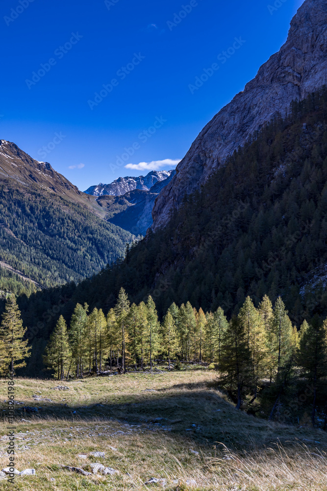 The Carnic Alps in a colorful autumn day