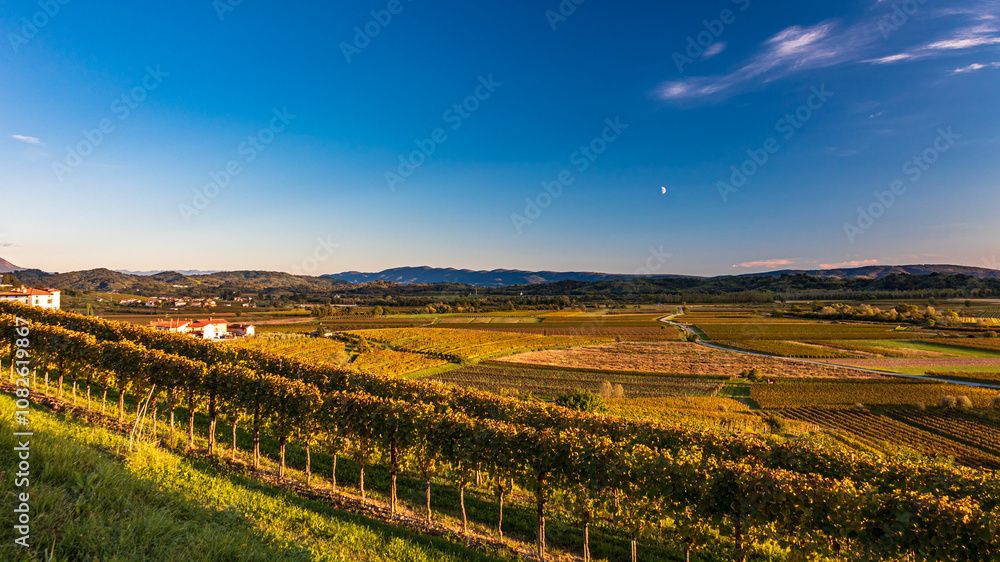 Colorful sunset in the vineyards at the border between Italy and Slovenia