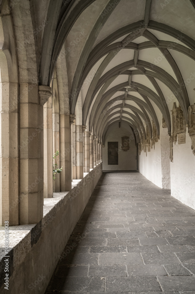 Vaulted corridor creating a perspective effect in ancient building Vaulted corridor creating a perspective effect in ancient building