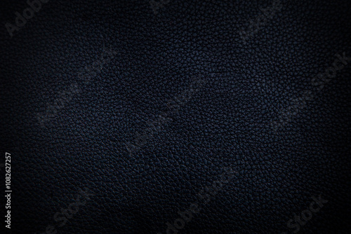 dark texture of black shiny skin