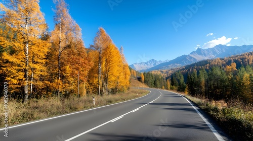 Charming Curved Road Through Forested Hills - Serene Holiday Trip with Sunlight Touching Treetops and Distant Mountain Views in a Peaceful Atmosphere